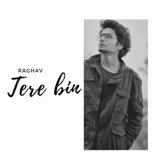 Tere Bin by Raghav Chaitanya