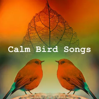 Calm Bird Songs by Actors of Nature