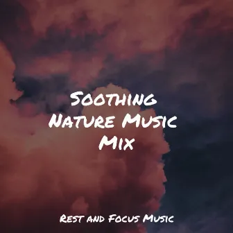 Soothing Nature Music Mix by Kings of Nature