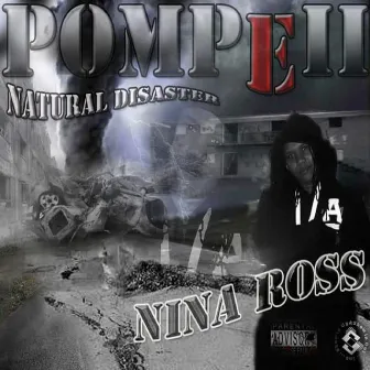 Pompeii Natural Disaster by Nina Ross