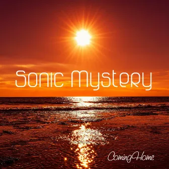 Coming Home by Sonic Mystery