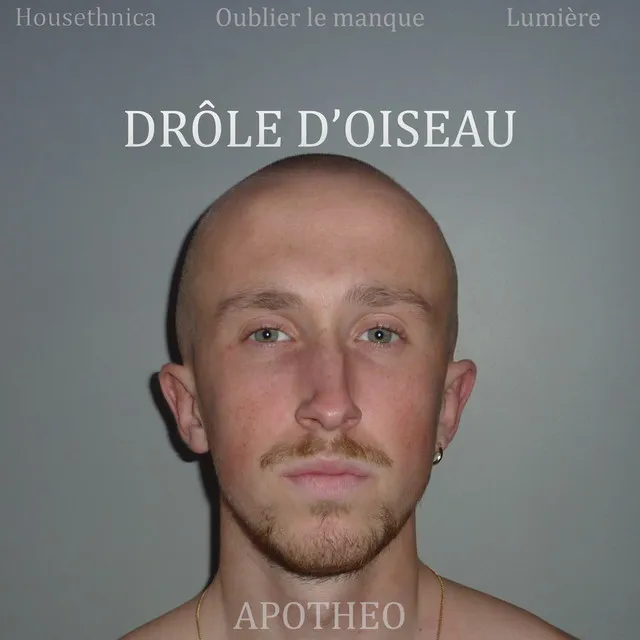 Drôle d'oiseau