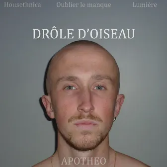 Drôle d'oiseau by APOTHEO