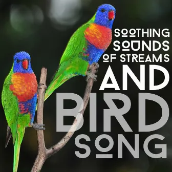 Soothing Sounds of Streams and Bird Song by Unknown Artist