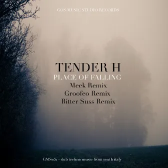 PLACE of FALLING (Full Album) by Tender H