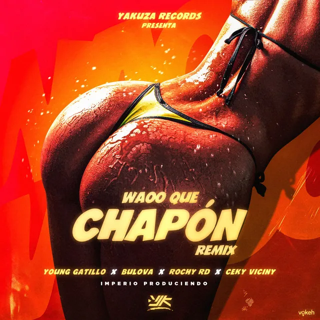 Waoo Que Chapón - Remix