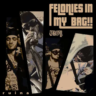 felonies in my bag!! by troy.