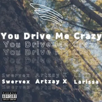 You Drive Me Crazy by Larissa