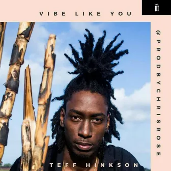 Vibe Like You by Teff Hinkson