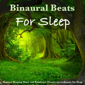 Binaural Beats For Sleep, Ambient Sleeping Music and Rainforest Thunderstorm Sounds For Sleep by Unknown Artist