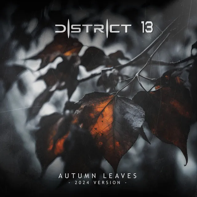 Autumn Leaves (2024 Version)