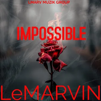 Impossible by LeMarvin