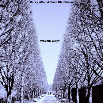 Why Oh Why? by Unknown Artist