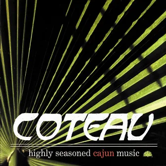 Highly Seasoned Cajun Music by Coteau