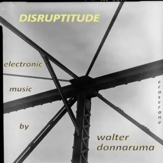 Disruptitude by Walter Donnaruma