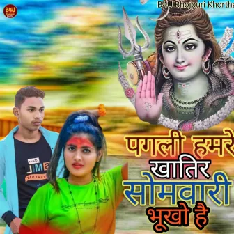 Pagli hamre khatir sombari bhuke h by Sudhanshu Raj