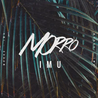 IMU by Morro