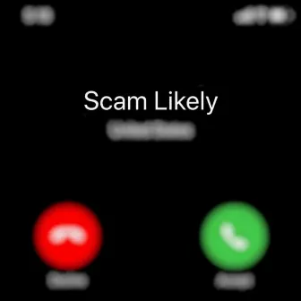 Scam Likely by Torey D'Shaun