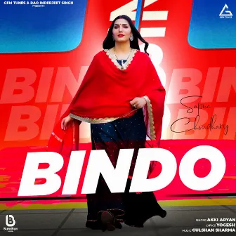 Bindo by Akki Aryan