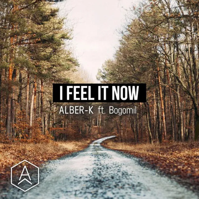 I Feel It Now (feat. Bogomil)