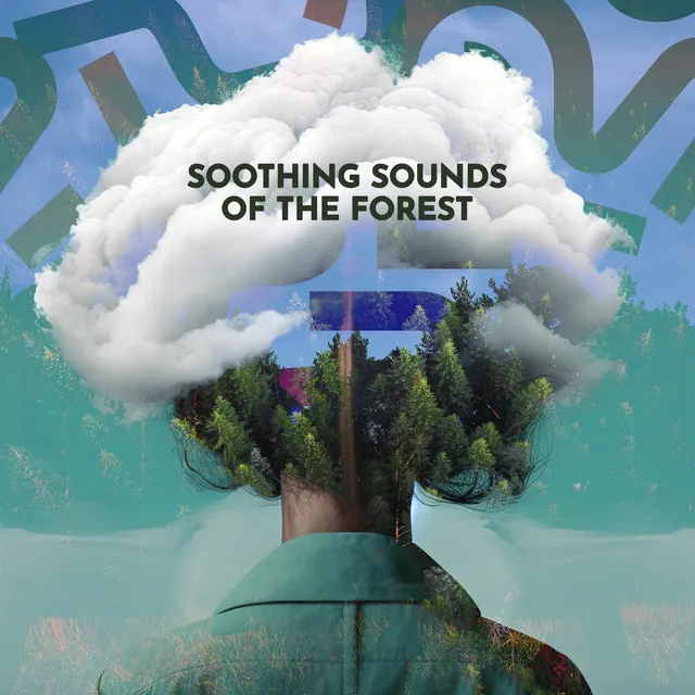 Soothing Sounds of the Forest