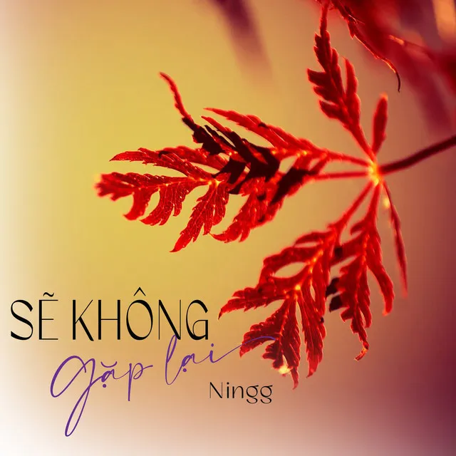 Sẽ Không Gặp Lại