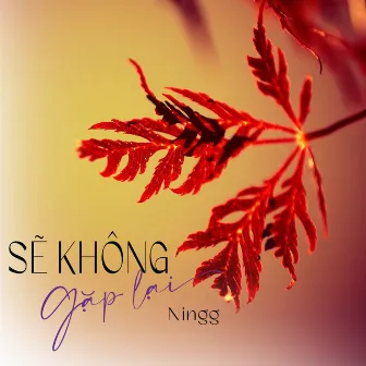 Sẽ Không Gặp Lại by 