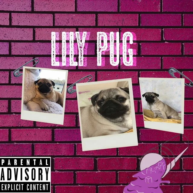 Lily Pug