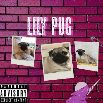 Lily Pug by TRIPPA14