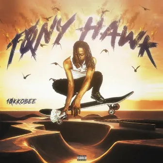 Tony Hawk by 10k Kobee