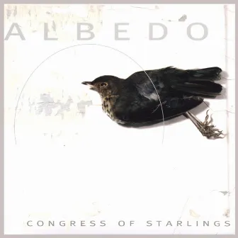 Albedo by Congress of Starlings