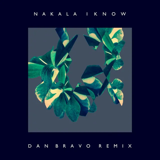 I Know - Dan Bravo Remix