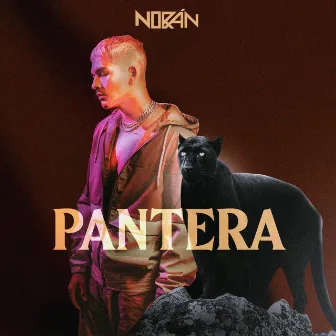 Pantera by Norán