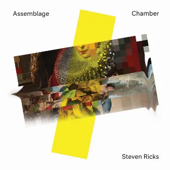 Steven Ricks: Assemblage Chamber by Steven Ricks