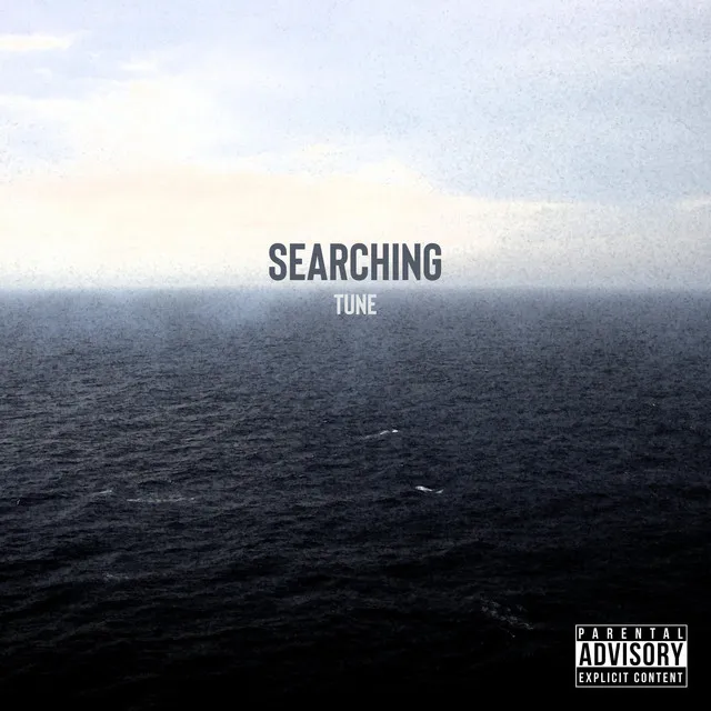 Searching