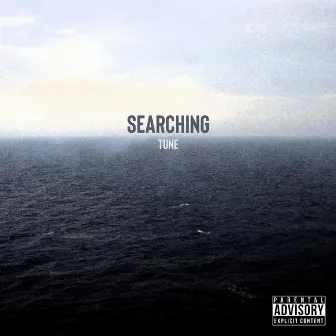 Searching by Tune