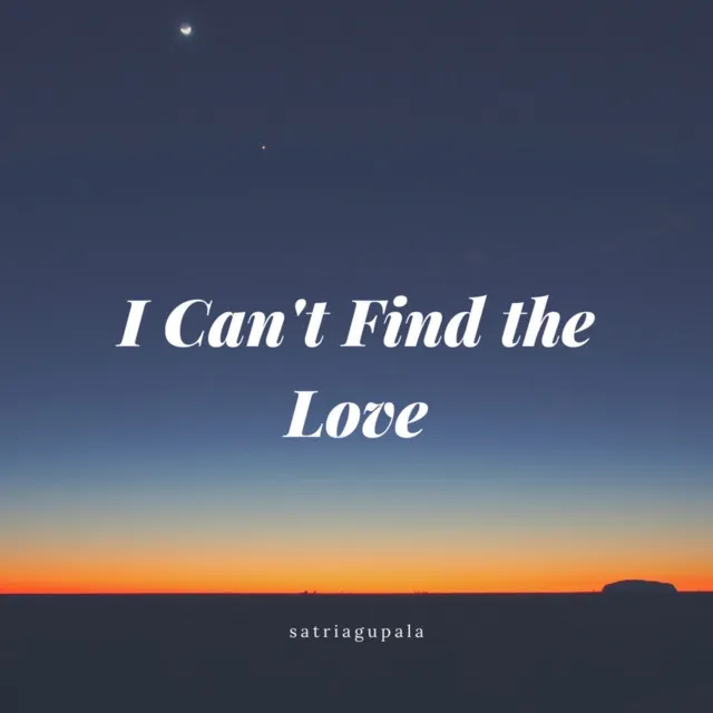 I Can't Find The Love