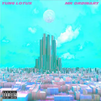 Mr Ordinary by Yung Lotus