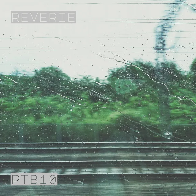 Reverie