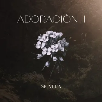 Adoración II by Anthem Worship Español