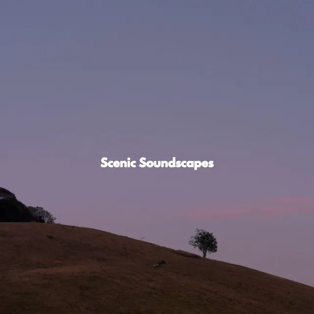 Scenic Soundscapes