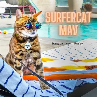 SurferCat Mav by Kevin Posey