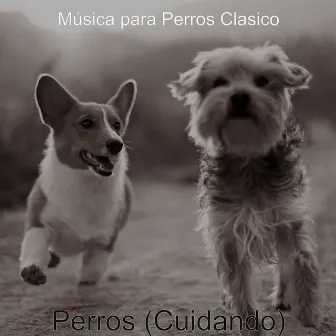 Perros (Cuidando) by Música para Perros Clásico