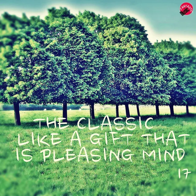 The Classic Like a Gift That is Pleasing Mind 17