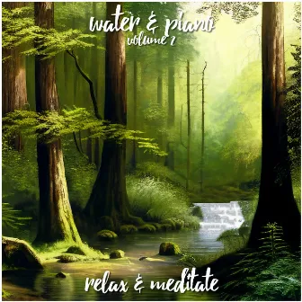 Water & Piano - Volume 2 by Relax and Meditate