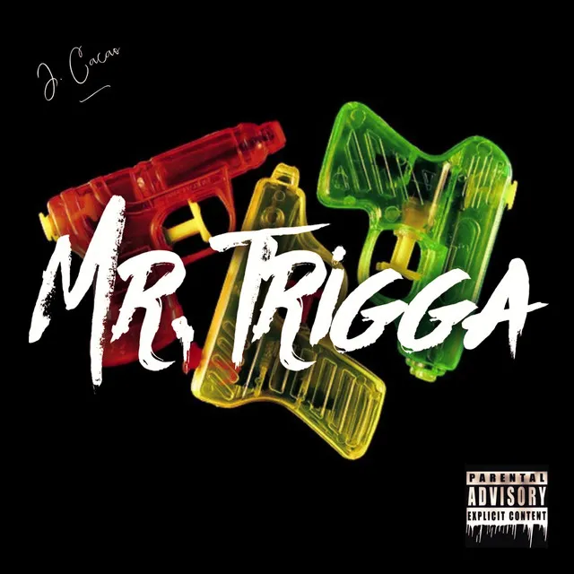 Mr. Trigga