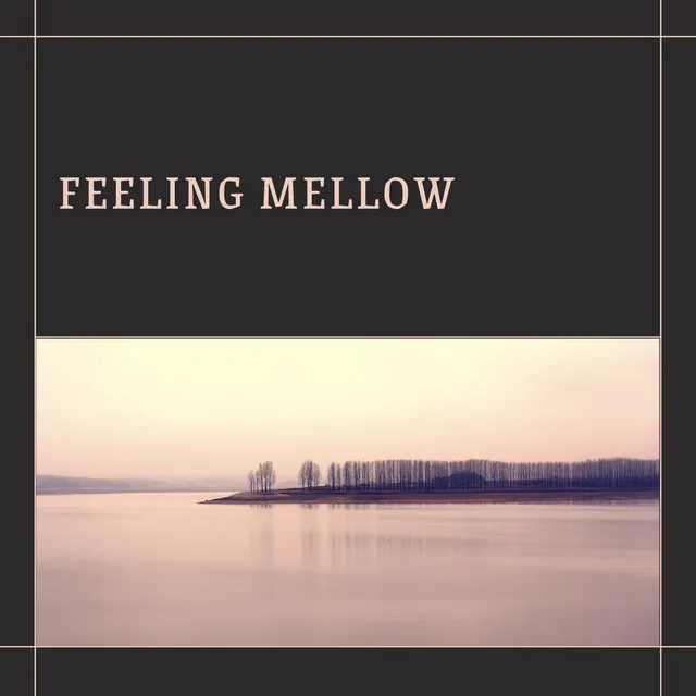 Cheerful Instrumental for Feeling Mellow