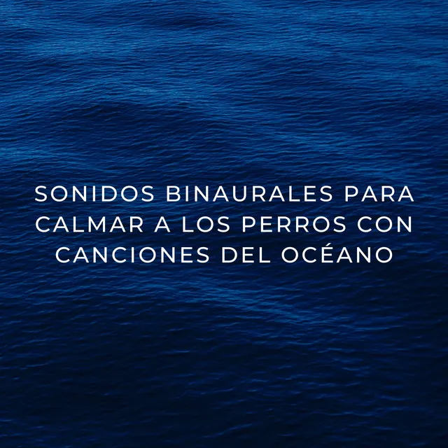 Sonidos Binaurales Para Calmar A Los Perros Con Canciones Del Océano