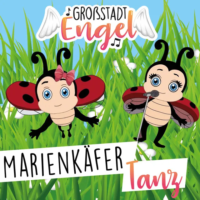 Marienkäfer Tanz