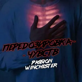 Передозировка чувств by Passion